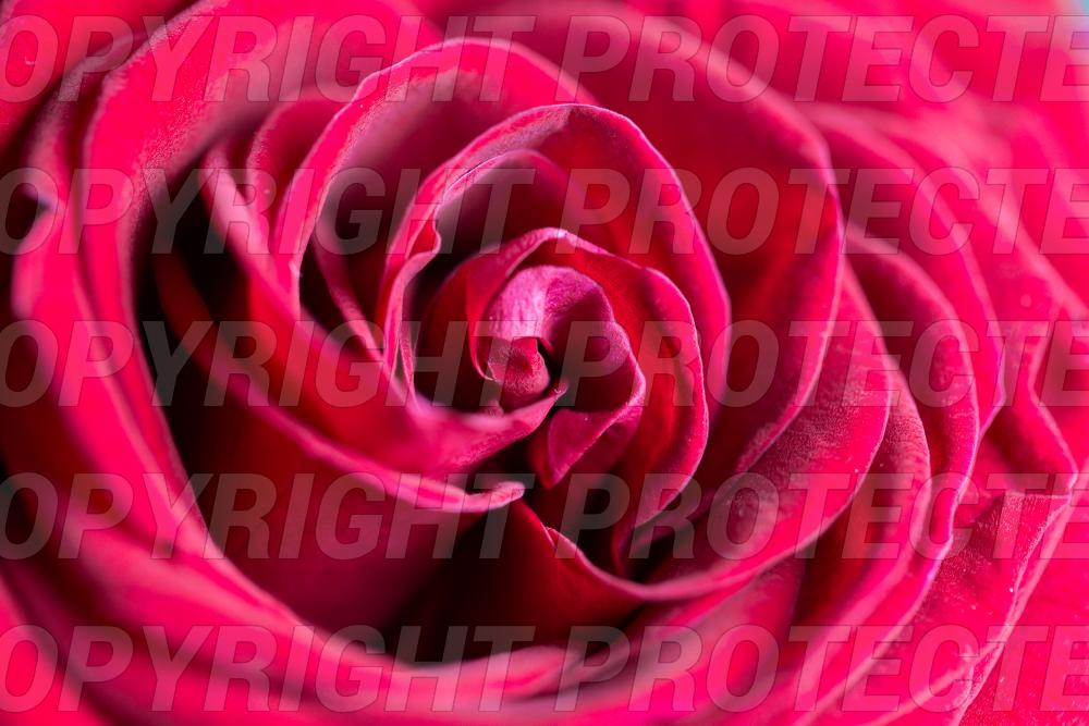 Themen Bild 56